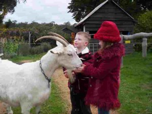 kids and kids